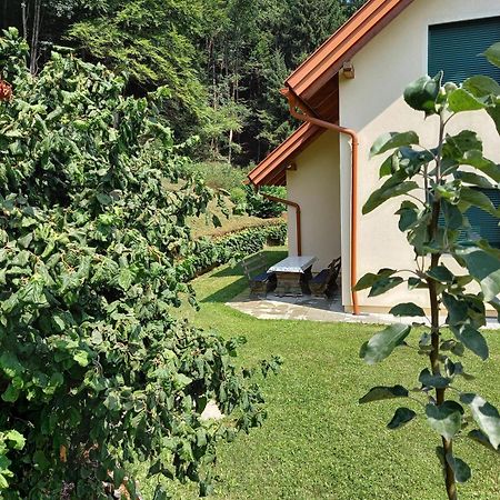 Ferienhaus Manuela Velden am Woerthersee Exterior photo